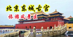 c逼c屁眼中国北京-东城古宫旅游风景区